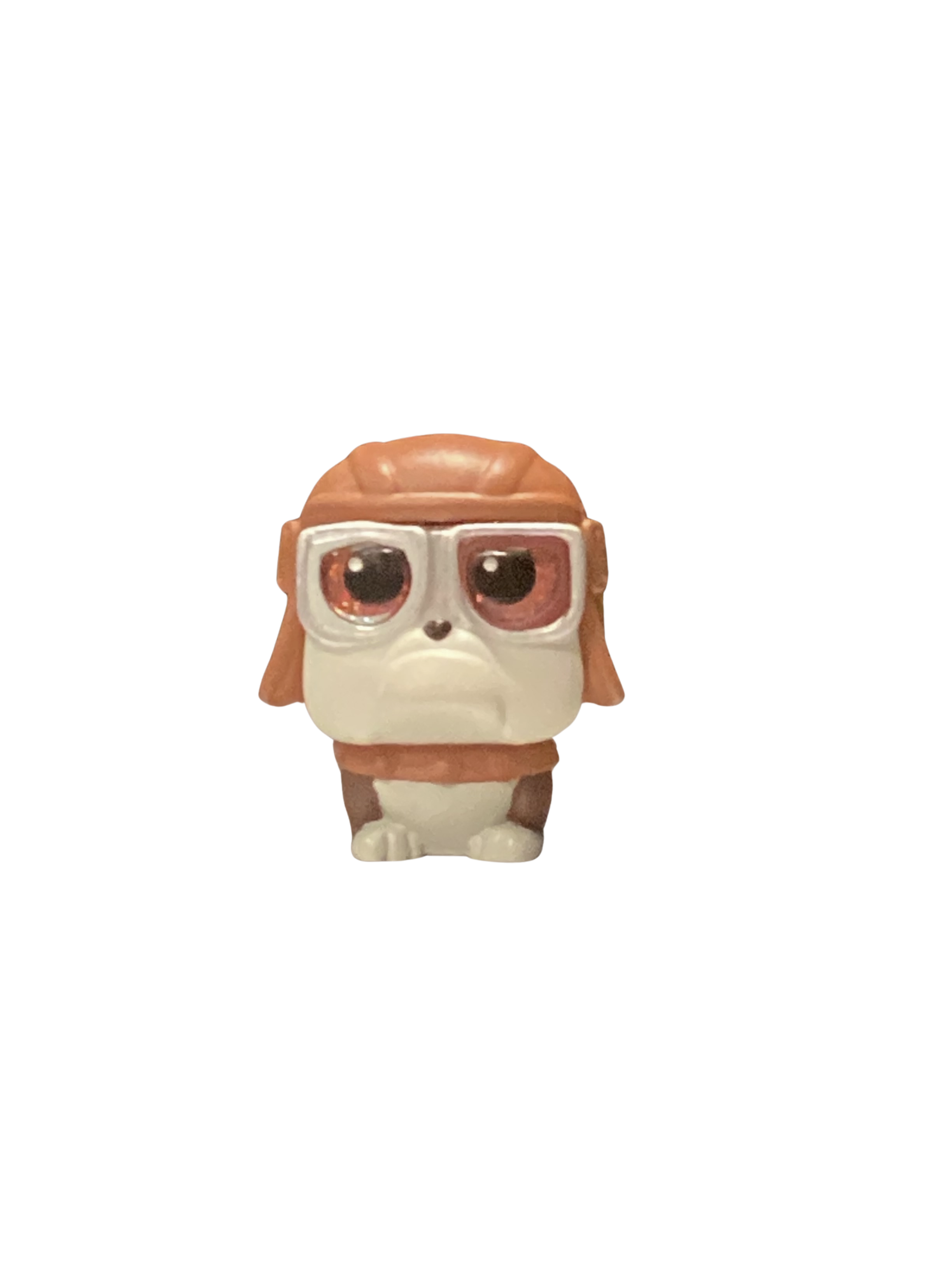 Gamma - Up Collection